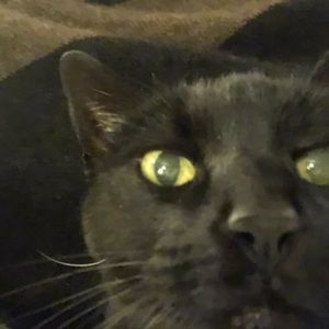 Meet your Posher, Rhonda